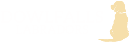 dowlfalls dowlfalls