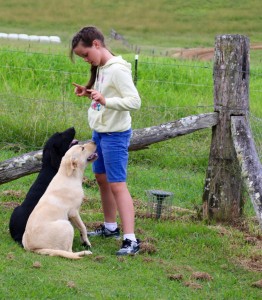 Montana with Hunter and Maggie