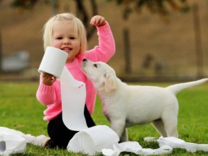 Quinn and Sandy pup 