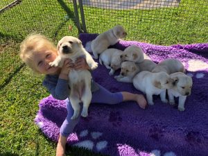 Mackenna nad Puppies