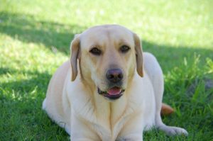 Maggie